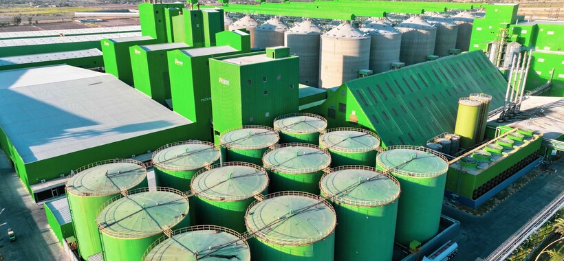 Rayan for Oil Extraction and Feed Mill: Leading Quality and Innovation in Iraq
